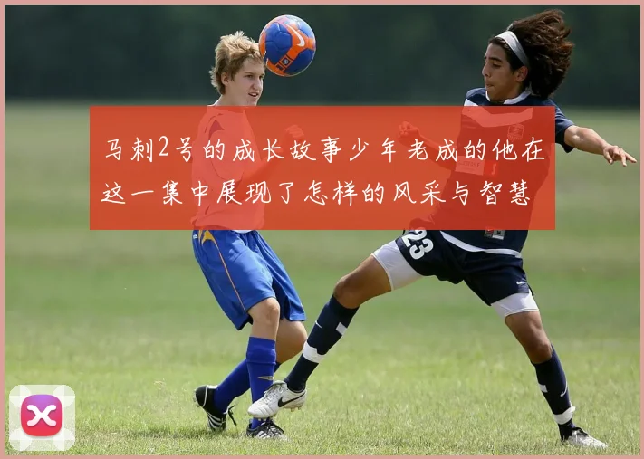 马刺2号的成长故事少年老成的他在这一集中展现了怎样的风采与智慧