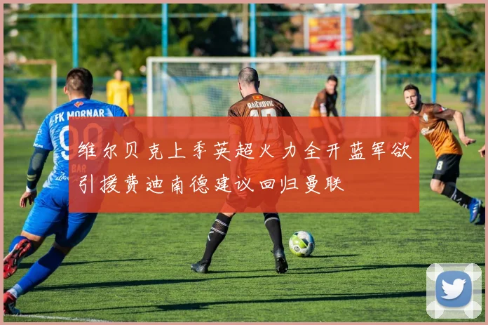 维尔贝克上季英超火力全开蓝军欲引援费迪南德建议回归曼联