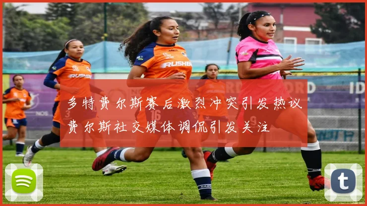 多特费尔斯赛后激烈冲突引发热议费尔斯社交媒体调侃引发关注